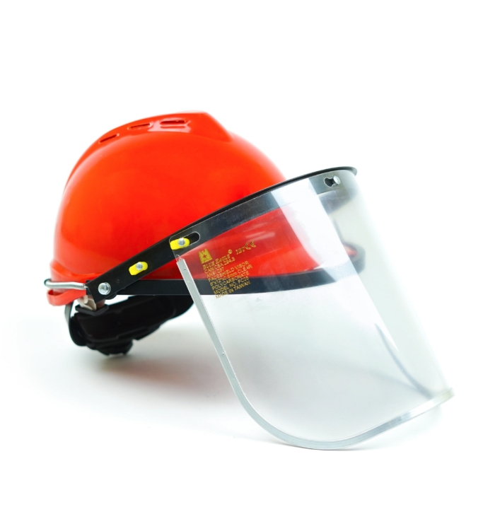 [FH-009] Visor Face Shield Helmet (Blue Eagle)
